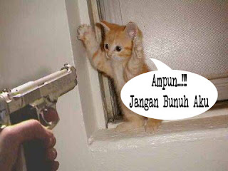 Ibu Hamil Tidak Boleh Bunuh Binatang