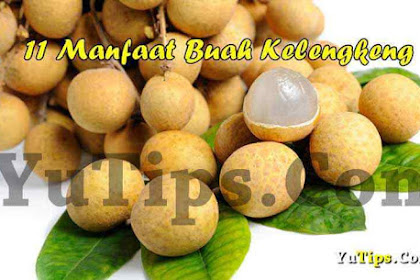 11 Manfaat Buah Kelengkeng Bagi Kesehatan