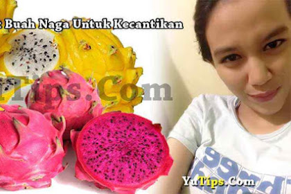 Manfaat Buah Naga Untuk Kecantikan